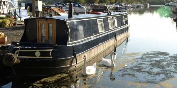 Sharpness Old Dock